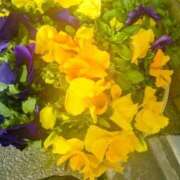 ヒメ日記 2025/03/13 11:27 投稿 まり 熟女22時