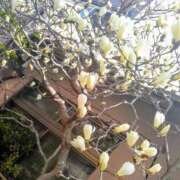 ヒメ日記 2025/03/23 11:15 投稿 まり 熟女22時