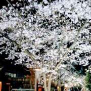 ヒメ日記 2025/04/05 11:27 投稿 まり 熟女22時