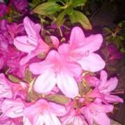 ヒメ日記 2025/04/28 11:24 投稿 まり 熟女22時