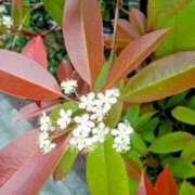 ヒメ日記 2025/05/03 11:50 投稿 まり 熟女22時