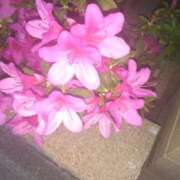 ヒメ日記 2025/05/07 11:16 投稿 まり 熟女22時