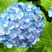 ヒメ日記 2025/05/24 11:32 投稿 まり 熟女22時