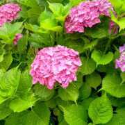 ヒメ日記 2025/05/26 12:20 投稿 まり 熟女22時