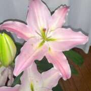 ヒメ日記 2025/05/28 12:16 投稿 まり 熟女22時