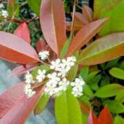 ヒメ日記 2025/06/04 11:51 投稿 まり 熟女22時