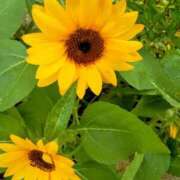 ヒメ日記 2025/06/16 11:31 投稿 まり 熟女22時