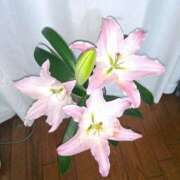 ヒメ日記 2025/06/21 11:44 投稿 まり 熟女22時