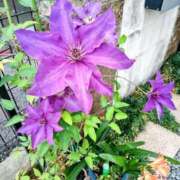 ヒメ日記 2025/06/25 11:48 投稿 まり 熟女22時