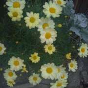 ヒメ日記 2025/07/02 11:18 投稿 まり 熟女22時