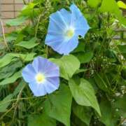 ヒメ日記 2025/07/09 11:28 投稿 まり 熟女22時