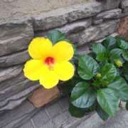 ヒメ日記 2025/07/13 11:55 投稿 まり 熟女22時