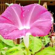 ヒメ日記 2025/07/16 11:56 投稿 まり 熟女22時