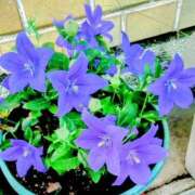 ヒメ日記 2025/07/17 11:50 投稿 まり 熟女22時