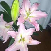 ヒメ日記 2025/07/30 11:55 投稿 まり 熟女22時