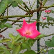 ヒメ日記 2025/08/07 11:46 投稿 まり 熟女22時