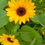 ヒメ日記 2025/08/30 11:52 投稿 まり 熟女22時