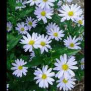 ヒメ日記 2025/09/06 11:42 投稿 まり 熟女22時