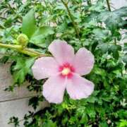 ヒメ日記 2025/09/13 11:49 投稿 まり 熟女22時