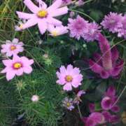 ヒメ日記 2025/10/11 11:51 投稿 まり 熟女22時