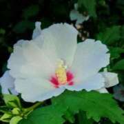 ヒメ日記 2025/12/27 11:44 投稿 まり 熟女22時