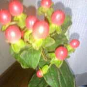 ヒメ日記 2026/01/28 11:51 投稿 まり 熟女22時