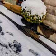 ヒメ日記 2026/02/08 11:42 投稿 まり 熟女22時