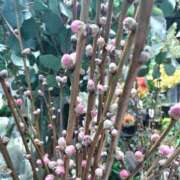 ヒメ日記 2026/02/23 11:45 投稿 まり 熟女22時