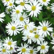 ヒメ日記 2026/02/27 11:29 投稿 まり 熟女22時