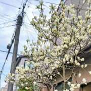 まり おはようございます(*^^*) 熟女22時