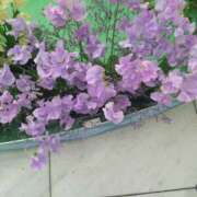 ヒメ日記 2026/03/19 11:49 投稿 まり 熟女22時