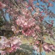 ヒメ日記 2026/03/26 11:41 投稿 まり 熟女22時