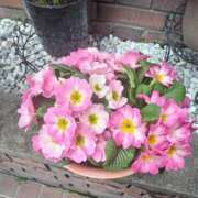 ヒメ日記 2026/03/30 11:56 投稿 まり 熟女22時