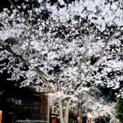 ヒメ日記 2026/04/04 11:52 投稿 まり 熟女22時