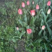 ヒメ日記 2026/04/09 11:53 投稿 まり 熟女22時