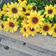 ヒメ日記 2026/04/15 11:22 投稿 まり 熟女22時