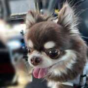 ヒメ日記 2025/08/30 11:48 投稿 高嶋凛 五十路マダム金沢店