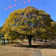 ヒメ日記 2024/12/14 08:44 投稿 遠藤 熟女の風俗最終章 横浜本店