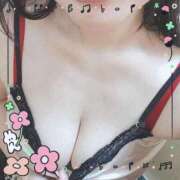 ヒメ日記 2026/03/29 21:22 投稿 羽田朋美(はねだともみ) 姫路マダム大奥