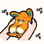 ヒメ日記 2025/03/29 08:00 投稿 ニコル Club Hearts