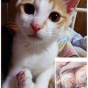 夏梅-なつめ 出勤ꕤ︎︎ 熟女10000円デリヘル 川崎