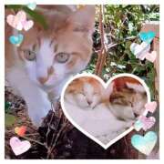 ヒメ日記 2025/12/31 23:00 投稿 夏梅-なつめ 熟女10000円デリヘル横浜