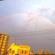 ヒメ日記 2025/07/03 13:03 投稿 すみれ 川越ぷよステーション