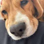 ヒメ日記 2025/07/24 19:53 投稿 すみれ 川越ぷよステーション