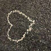 ヒメ日記 2025/08/12 13:04 投稿 すみれ 川越ぷよステーション