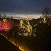 すみれ 口コミありがとー！ 川越ぷよステーション