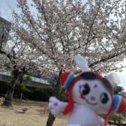 ヒメ日記 2025/04/09 13:06 投稿 Ｙuuka（ゆうか） AMATERAS(アマテラス)(福山)