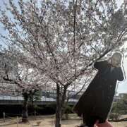 ヒメ日記 2026/04/09 20:48 投稿 Ｙuuka（ゆうか） AMATERAS(アマテラス)(福山)