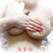 ヒメ日記 2026/01/26 07:42 投稿 あまね 錦糸町ちゃんこ