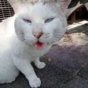 ヒメ日記 2024/12/23 21:31 投稿 ユリア マダム可憐